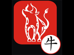 Horoscope chinois 2016 du Boeuf