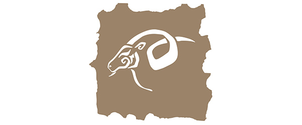 Horoscope Capricorne 2016